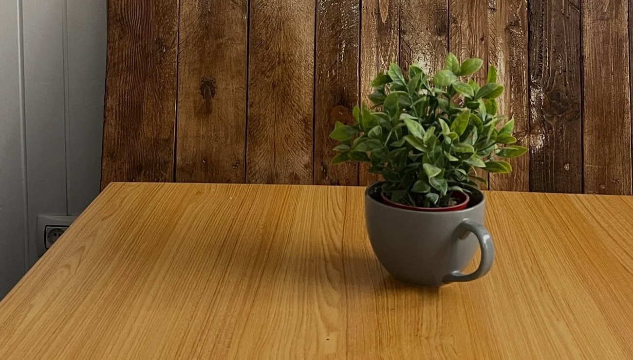 Una mesa del local con una planta, frente a la pared de madera